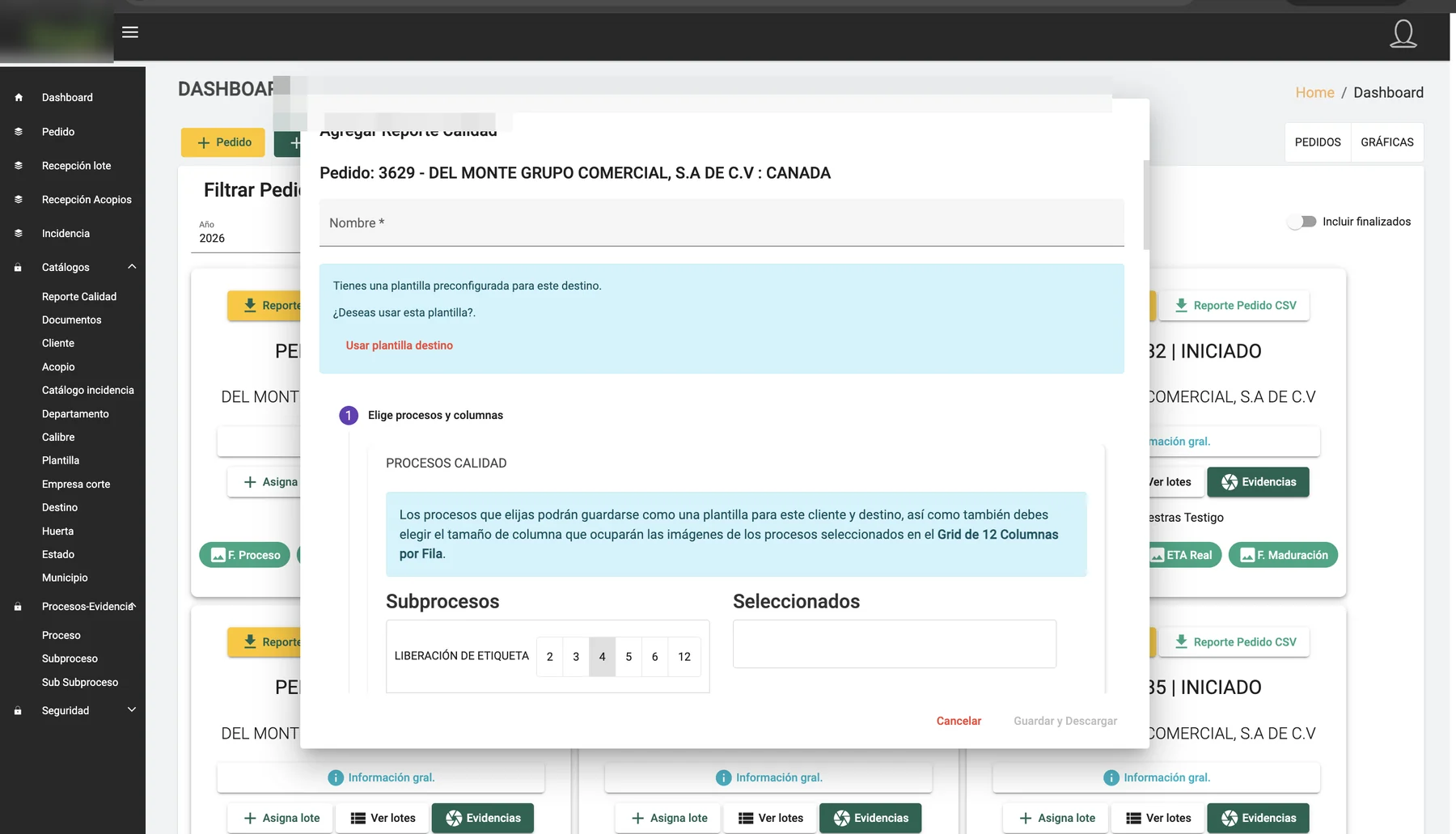 Wizard para plantillas de reportes